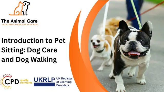 Introduction to Pet Sitting: Dog Care and Dog Walking