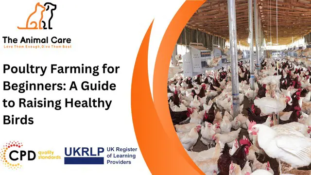 Poultry Farming for Beginners: A Guide to Raising Healthy Birds