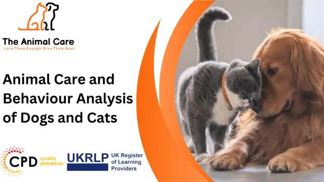 Animal Care and Behaviour Analysis of Dogs and Cats