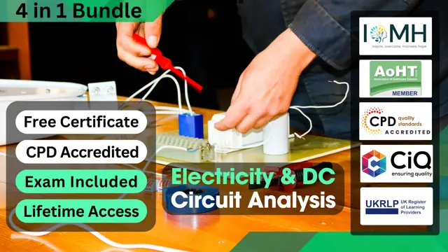 Electricity & DC Circuit Analysis