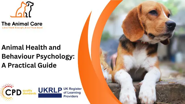 Animal Health and Behaviour Psychology: A Practical Guide