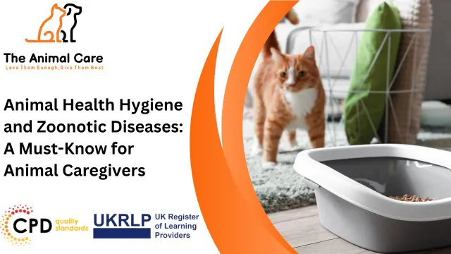 Animal Health Hygiene and Zoonotic Diseases: A Must-Know for Animal Caregivers