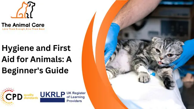 Hygiene and First Aid for Animals: A Beginner's Guide
