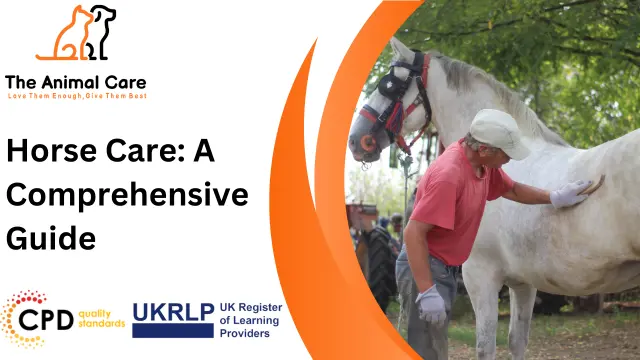 Horse Care: A Comprehensive Guide