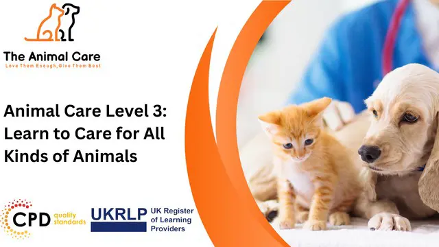 Animal Care Level 3: Learn to Care for All Kinds of Animals