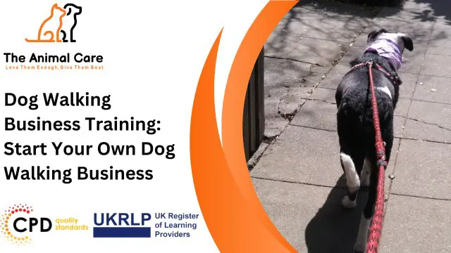 Dog Walking Business Training: Start Your Own Dog Walking Business
