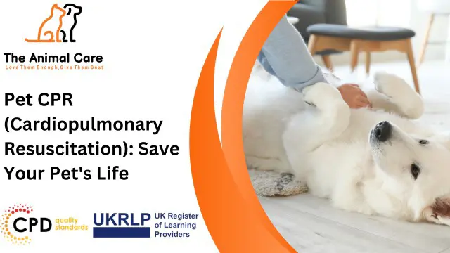 Pet CPR (Cardiopulmonary Resuscitation): Save Your Pet's Life