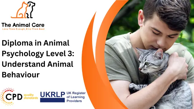Diploma in Animal Psychology Level 3: Understand Animal Behaviour
