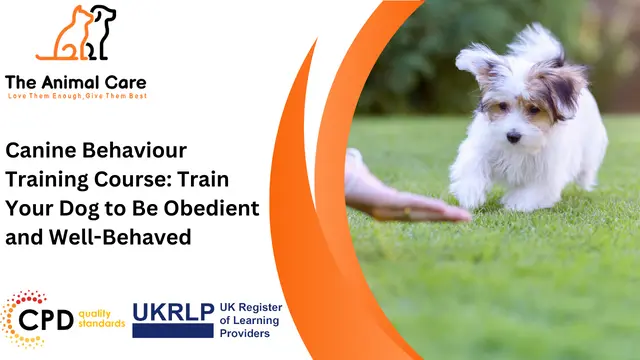 Canine Behaviour Training Course: Train Your Dog to Be Obedient and Well-Behaved
