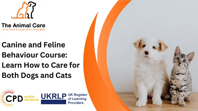 Canine and Feline Behaviour Course: Learn How to Care for Both Dogs and Cats