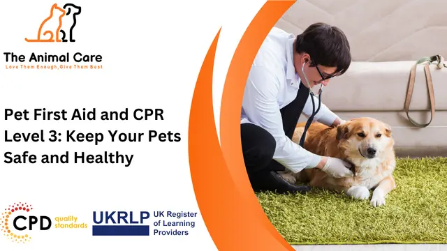 Pet First Aid and CPR Level 3: Keep Your Pets Safe and Healthy