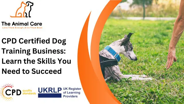 CPD Certified Dog Training Business: Learn the Skills You Need to Succeed