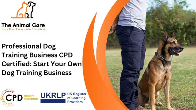 Professional Dog Training Business CPD Certified: Start Your Own Dog Training Business