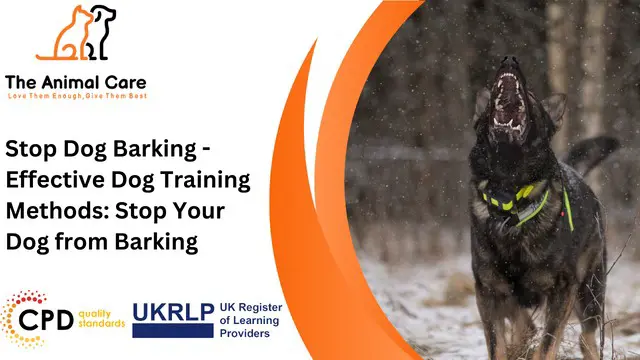 Stop Dog Barking - Effective Dog Training Methods: Stop Your Dog from Barking