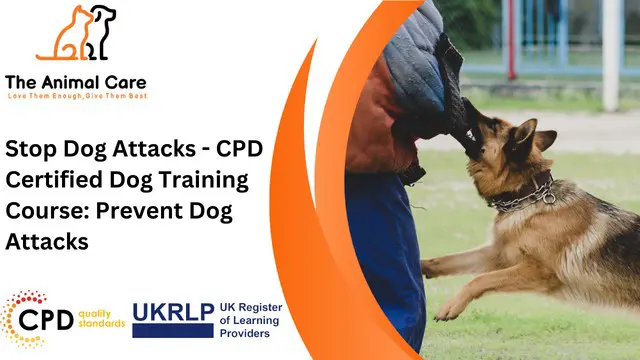 Stop Dog Attacks - CPD Certified Dog Training Course: Prevent Dog Attacks