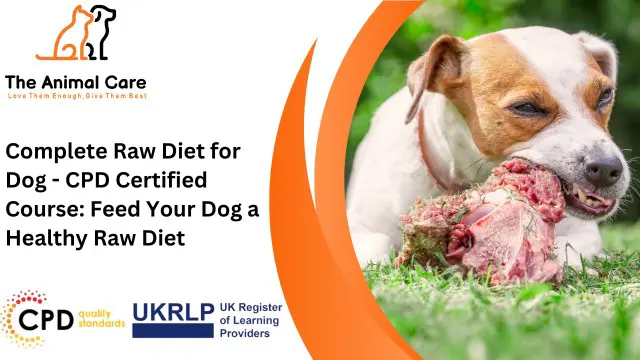 Complete Raw Diet for Dog - CPD Certified Course: Feed Your Dog a Healthy Raw Diet