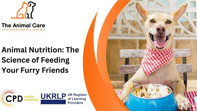 Animal Nutrition: The Science of Feeding Your Furry Friends