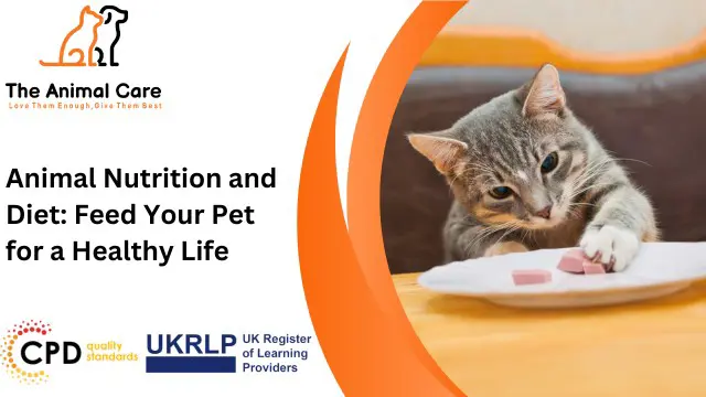 Animal Nutrition and Diet: Feed Your Pet for a Healthy Life