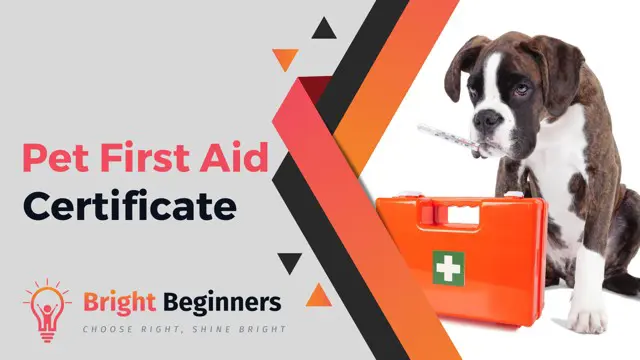 Pet First Aid Certificate