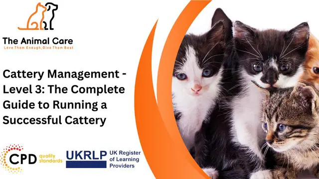 Cattery Management - Level 3: The Complete Guide to Running a Successful Cattery