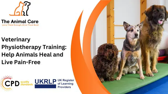 Animal Physical Therapy & Veterinary Physiotherapy Training Bundle Course
