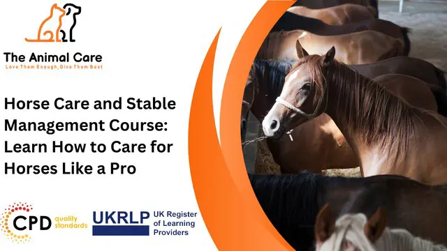 Horse Care and Stable Management Course: Learn How to Care for Horses Like a Pro