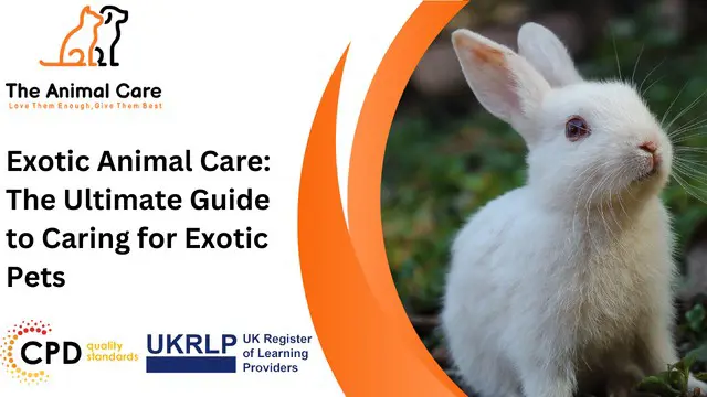 Exotic Animal Care: The Ultimate Guide to Caring for Exotic Pets