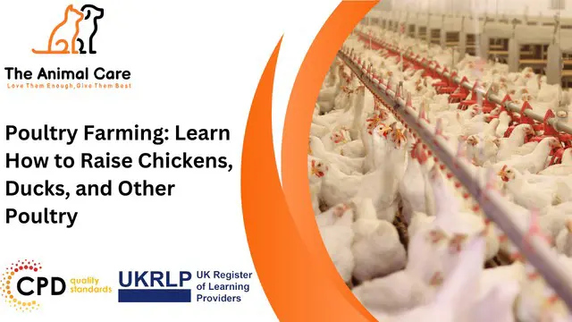 Poultry Farming: Learn How to Raise Chickens, Ducks, and Other Poultry