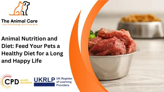 Animal Nutrition and Diet: Feed Your Pets a Healthy Diet for a Long and Happy Life