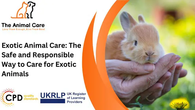 Exotic Animal Care Advanced Diploma