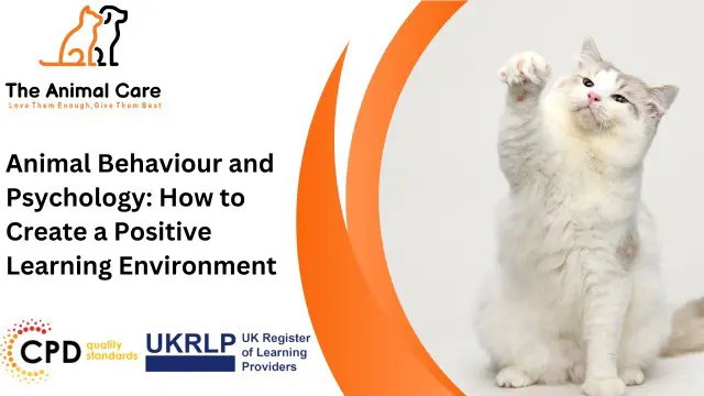 Animal Behaviour and Psychology: How to Create a Positive Learning Environment