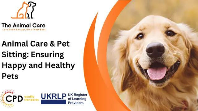 Animal Care & Pet Sitting: Ensuring Happy and Healthy Pets