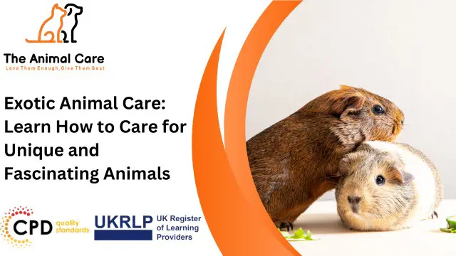 Exotic Animal Care: Learn How to Care for Unique and Fascinating Animals