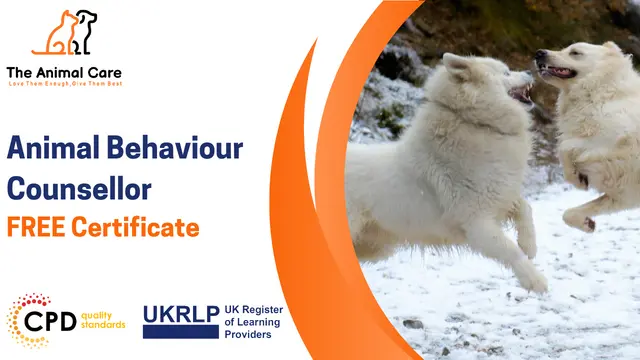 Animal Behaviour Counsellor: Understanding and Healing Pet Behaviours
