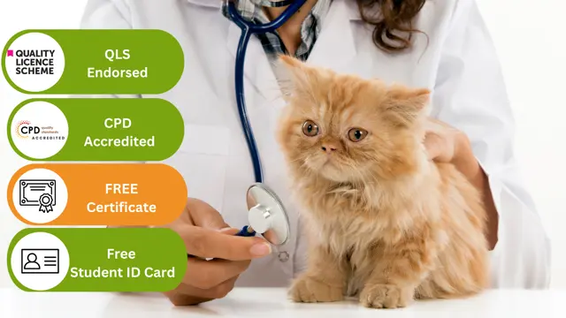 Diploma of Pet Care / VET Assistant (Online) - CPD Certified