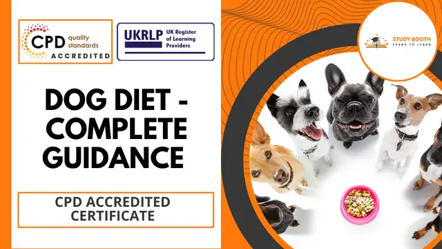 Dog Diet - Complete Guidance 