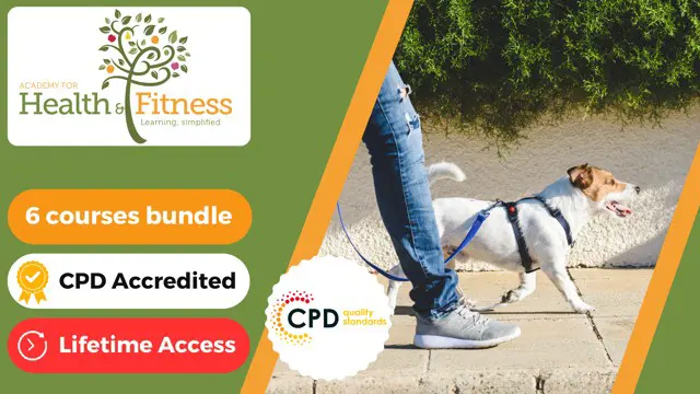 Pet Sitting and Dog Walking Course – CPD Certified