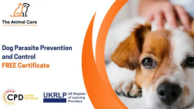Dog Parasite Prevention and Control