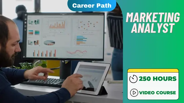 Marketing Analyst Career Path