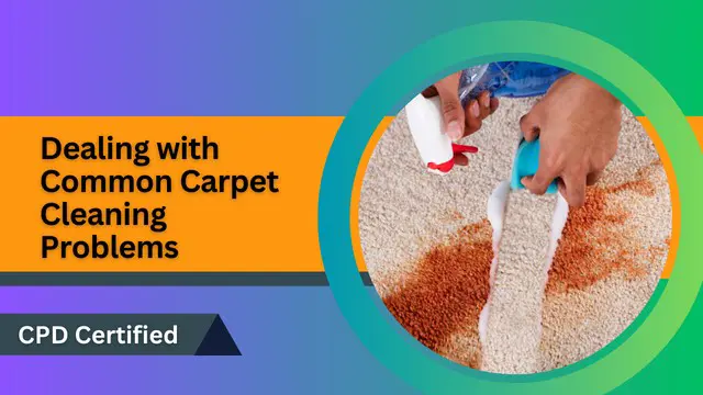 Dealing with Common Carpet Cleaning Problems