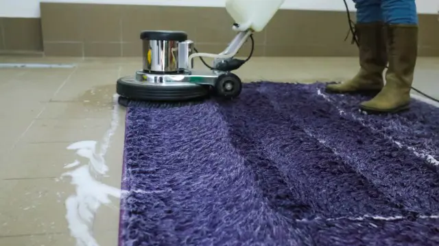 Starting a Carpet Cleaning Business
