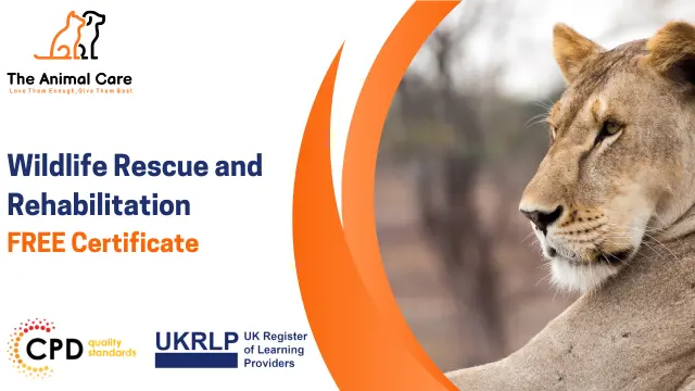 Wildlife Rescue and Rehabilitation