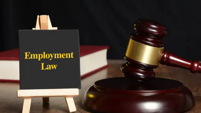 Employment Law - (UK)