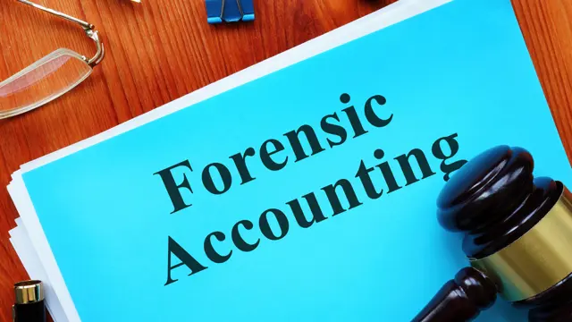 Forensic Accounting : The Investigative Process