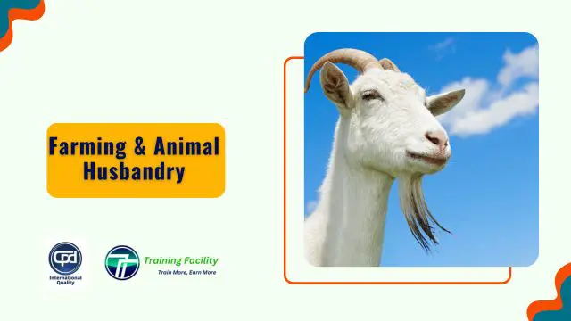 Farming & Animal Husbandry