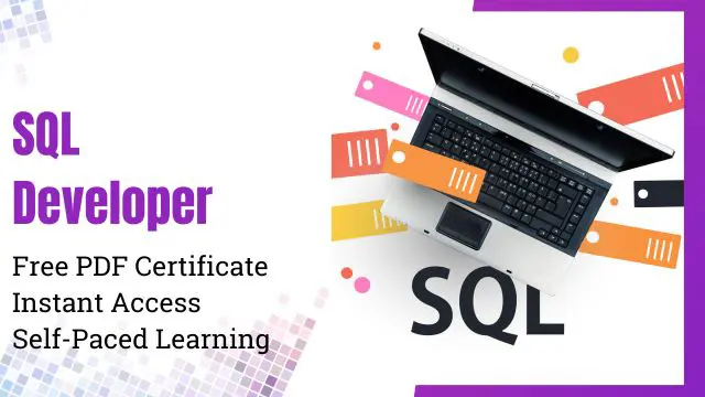 SQL Developer Training