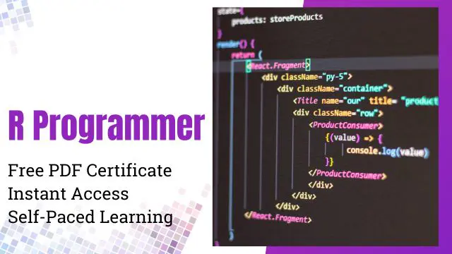 R Programmer Training