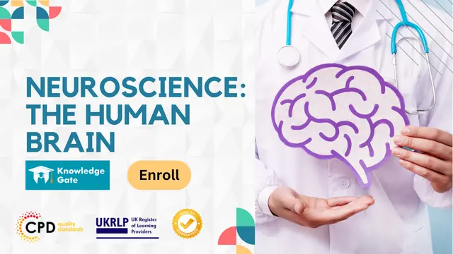 Neuroscience: The Human Brain