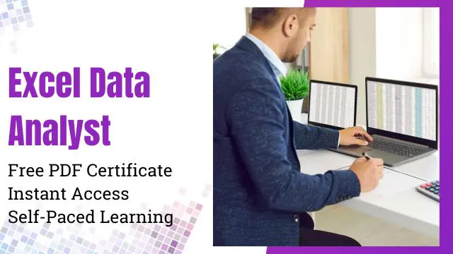 Excel Data Analyst Training
