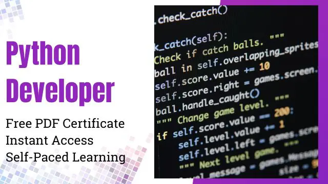 Python Developer Training